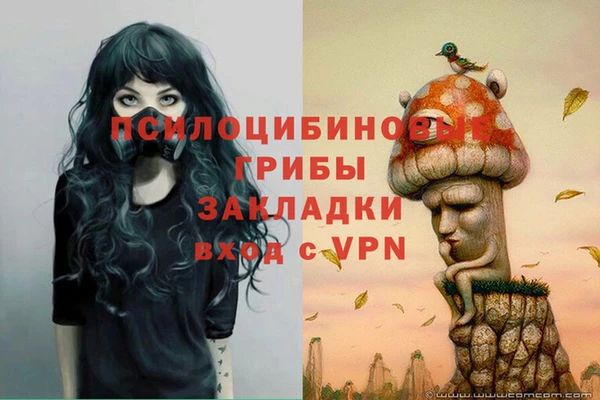 а пвп мука Богданович
